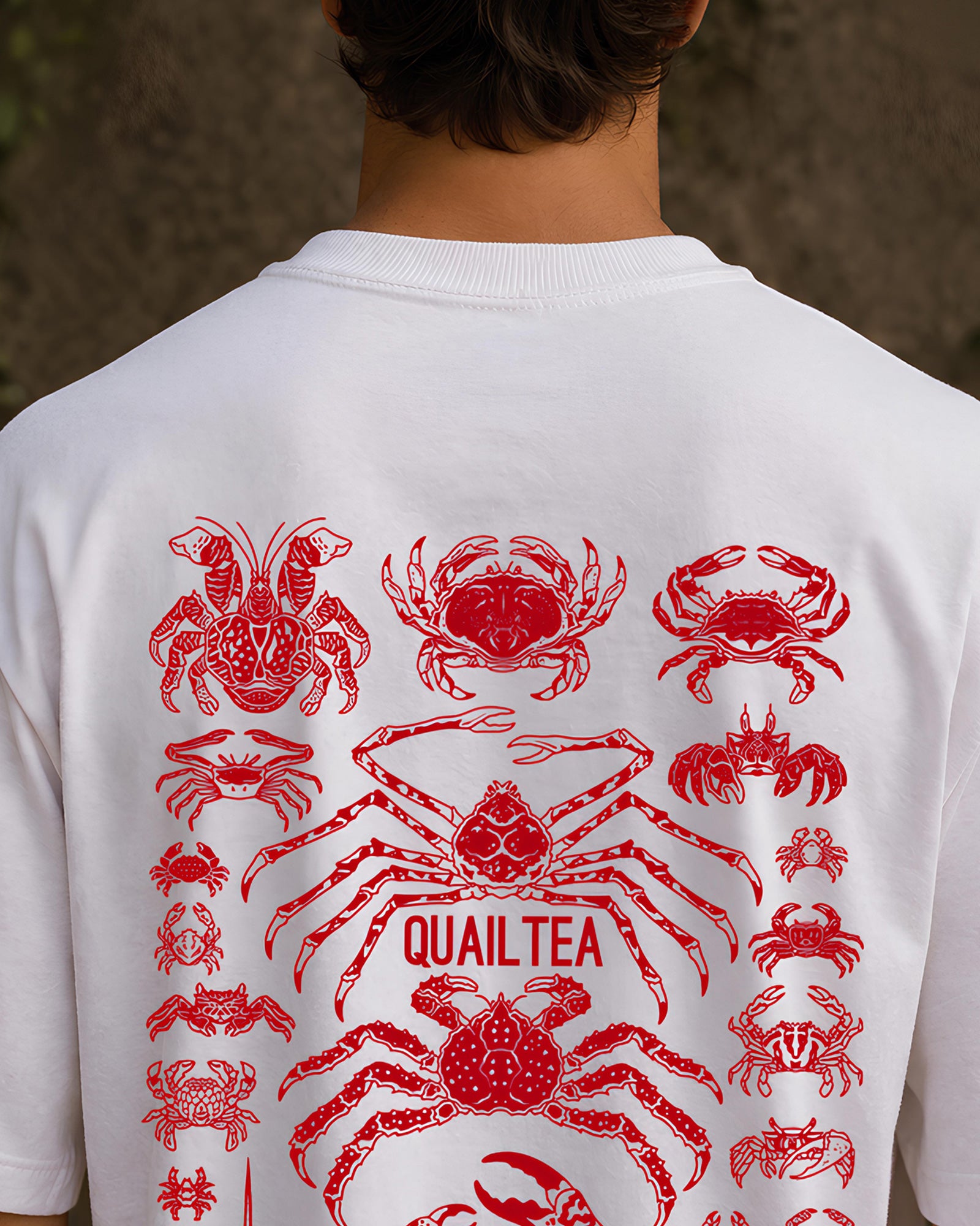 Crab Evolution Aesthetic Print - Oversized T-Shirt for Men